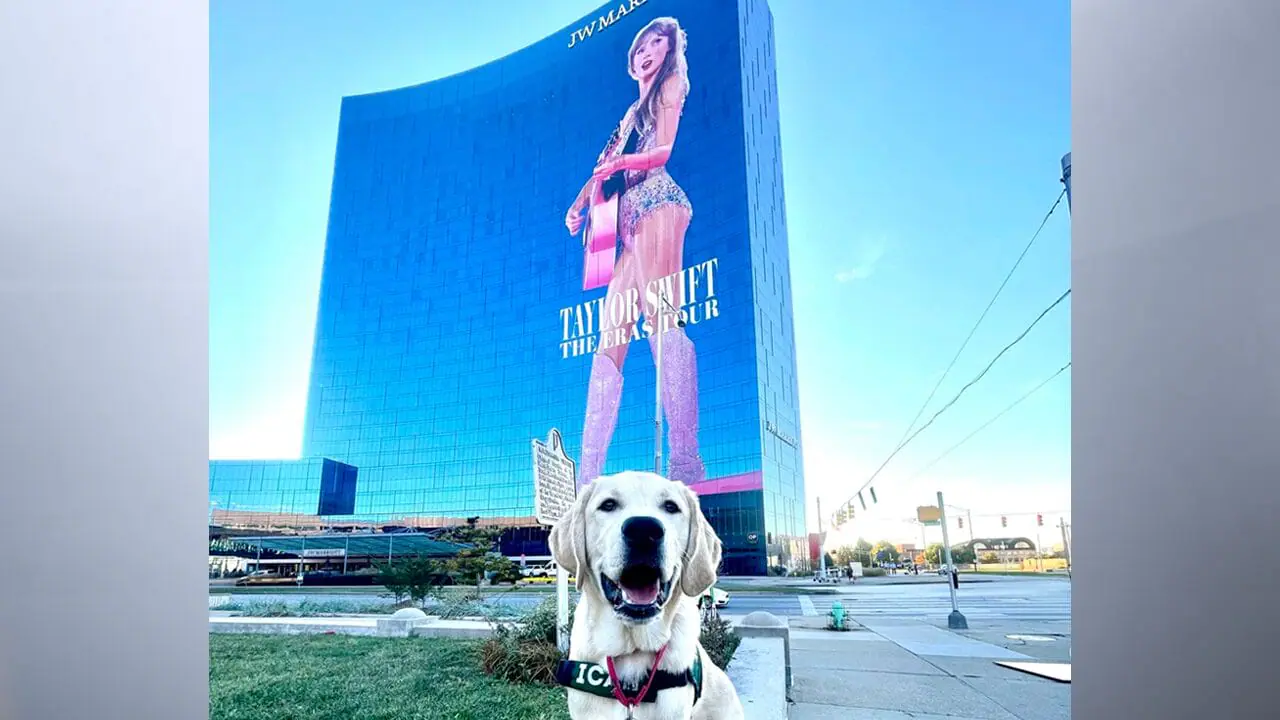 An ICAN service dog sitting in front of the Taylor Swift window decal on the J.W. Marriot in downtown Indianapolis. (Provided Photo/Indiana Canine Assistance Network)