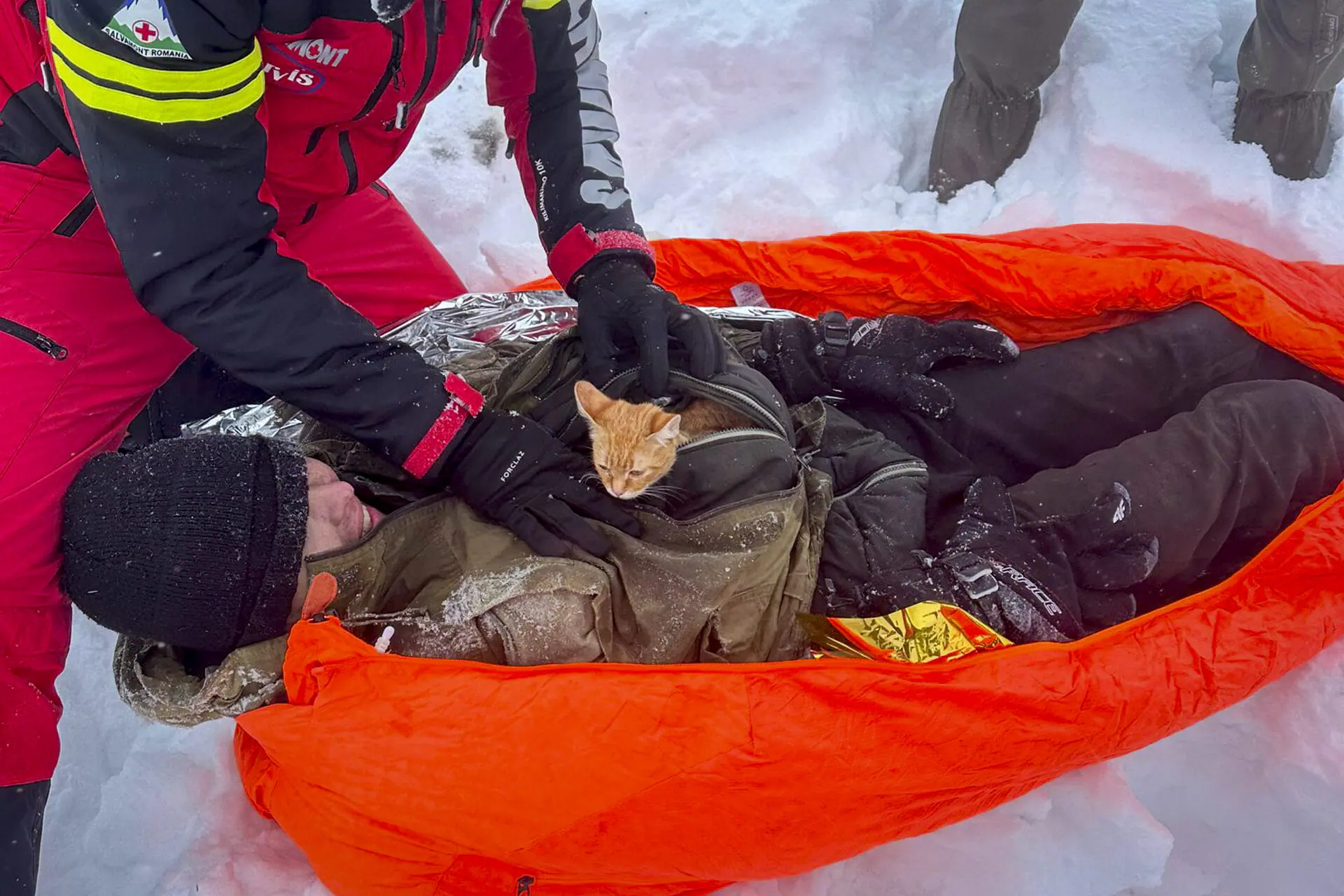 In this image provided by Salvamont Maramures, a Romanian mountain rescue service, Peach the cat peers from the jacket of its owner, 28 year-old Vladislav Duda from Ukraine, in the Carpathian Mountains , northern Romania, Friday, Dec. 6, 2024 after they were rescued from a deep mountain ravine in a state of severe hypothermia. (Salvamont Maramures via AP)