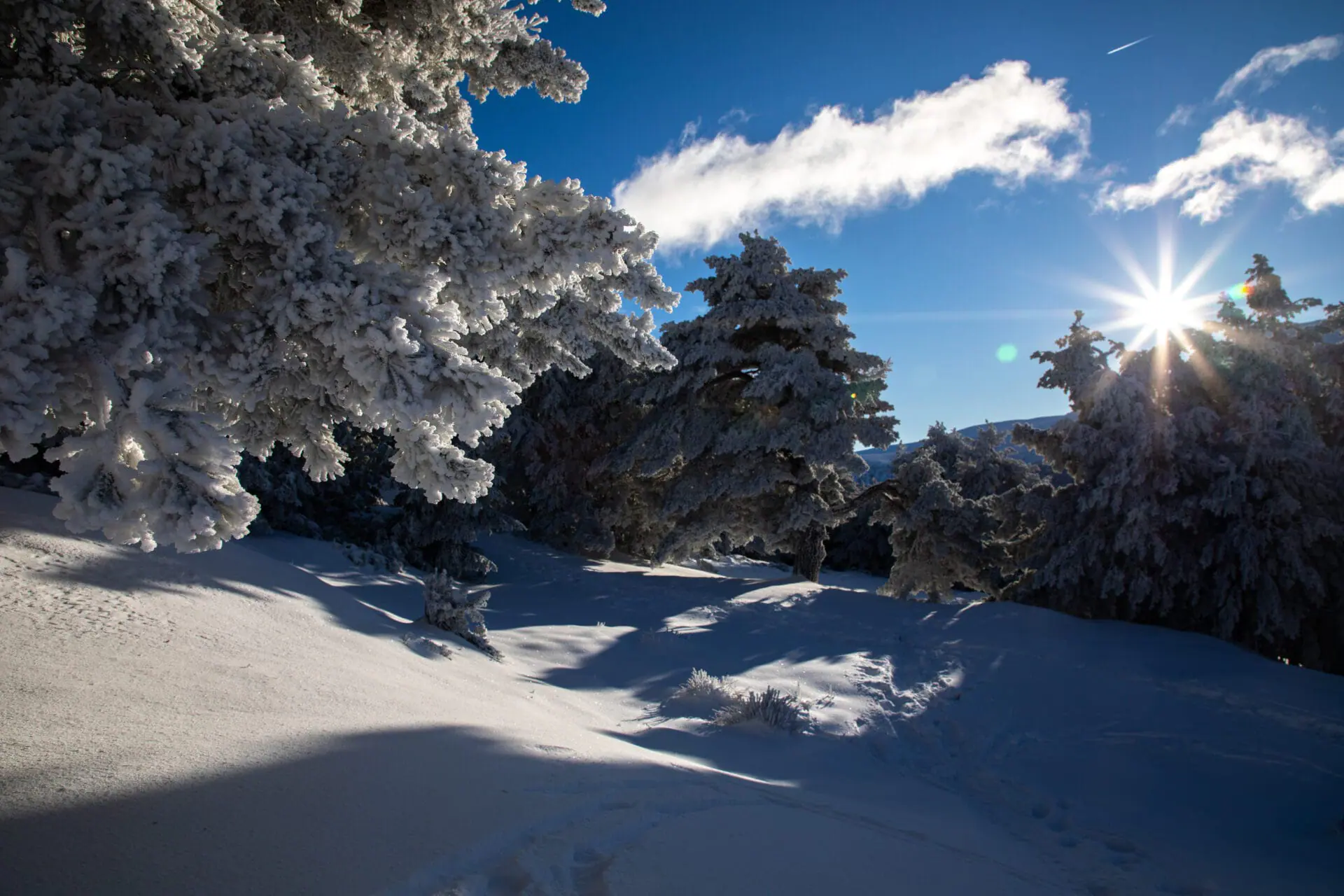 SIERRA DE GUADARRAMA, MADRID, SPAIN - JANUARY 07: View of the snowy landscape in Puerto de Cotos, on January 7, 2024, in Madrid, Spain. During the weekend, the snow has forced to use chains on the M-601 road, in both directions, at the height of Puerto de Navacerrada, as the thickness reached 5 centimeters in some points. Many Madrileños have taken the opportunity to go and play in the snow for the first time this season, even though the wind chill was between -10º and -16º. It's not a big cold snap, but it is a cold and snowy storm. During the next few days it is very likely to snow throughout the northern half of the peninsula and although the forecasts speak of snow more on the north side of the Central System, it could also snow even in Madrid capital. (Photo By Rafael Bastante/Europa Press via Getty Images)