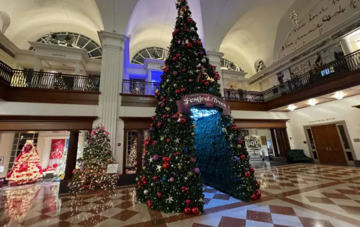 Festival of Trees enters final week on display🎄